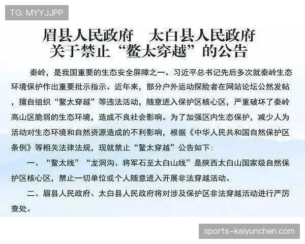 禁区线到底算不算禁区内？规则如何界定判罚范围