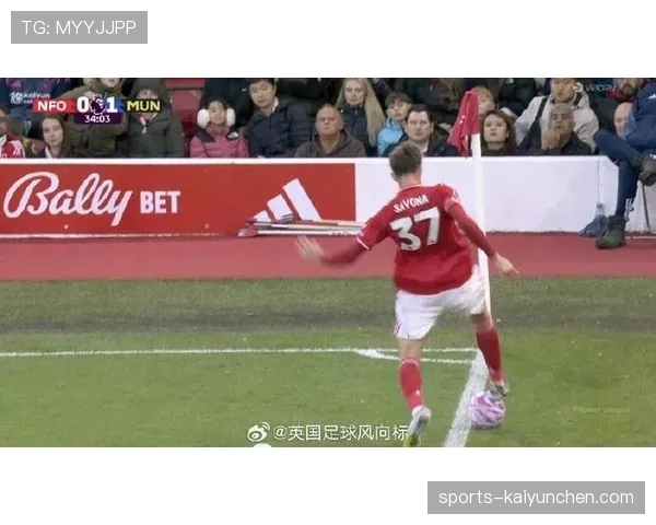 球是否出界的判罚标准到底有哪些细节你了解吗？